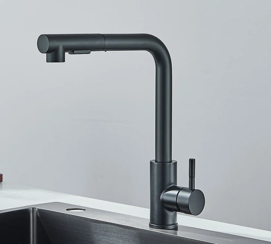 Stainless Steel Pull-Out Kitchen Faucet